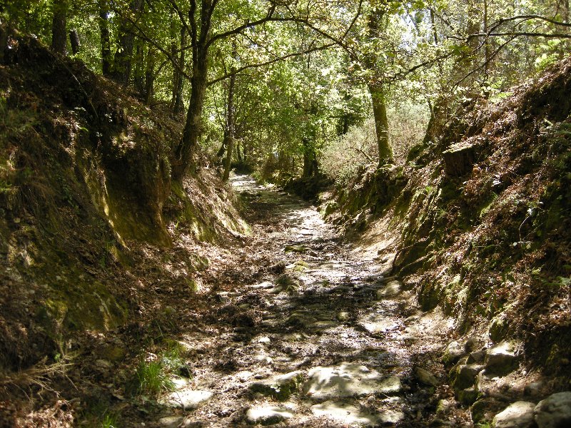 Ribeira Minno 2013 (23)